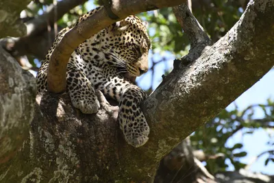 DSC_3966 (Large).JPG